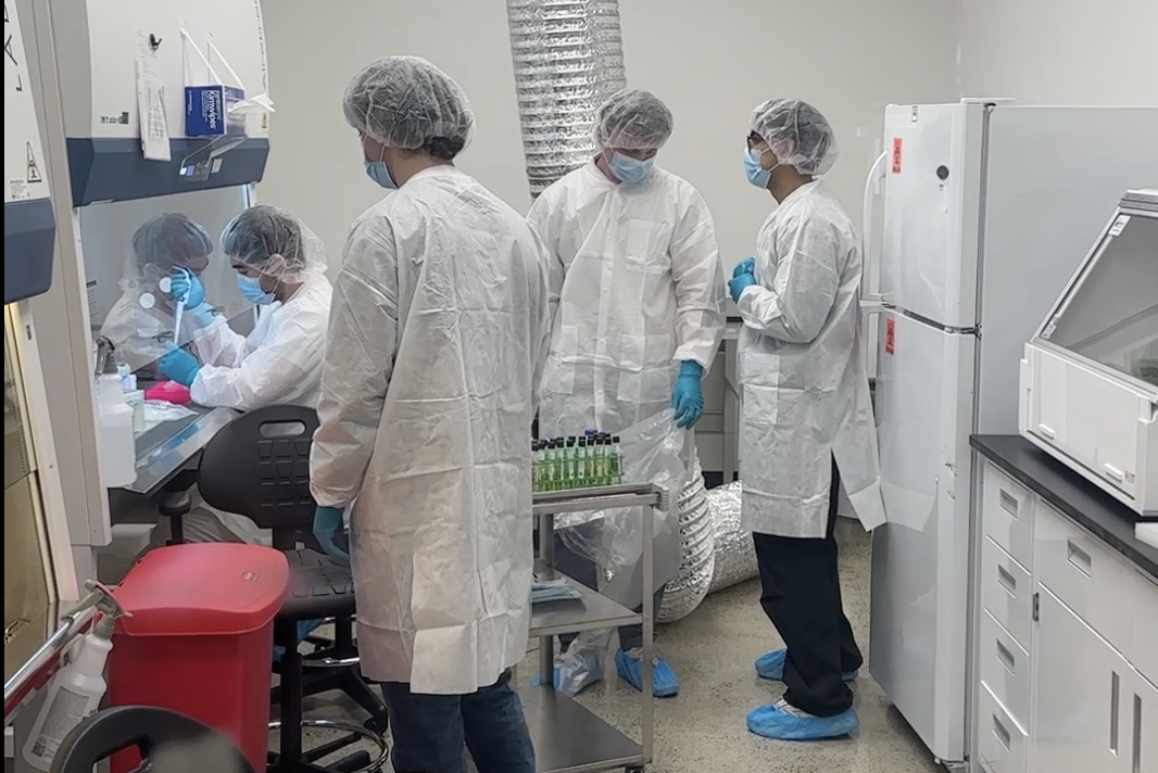 ASE scientists working in the lab
